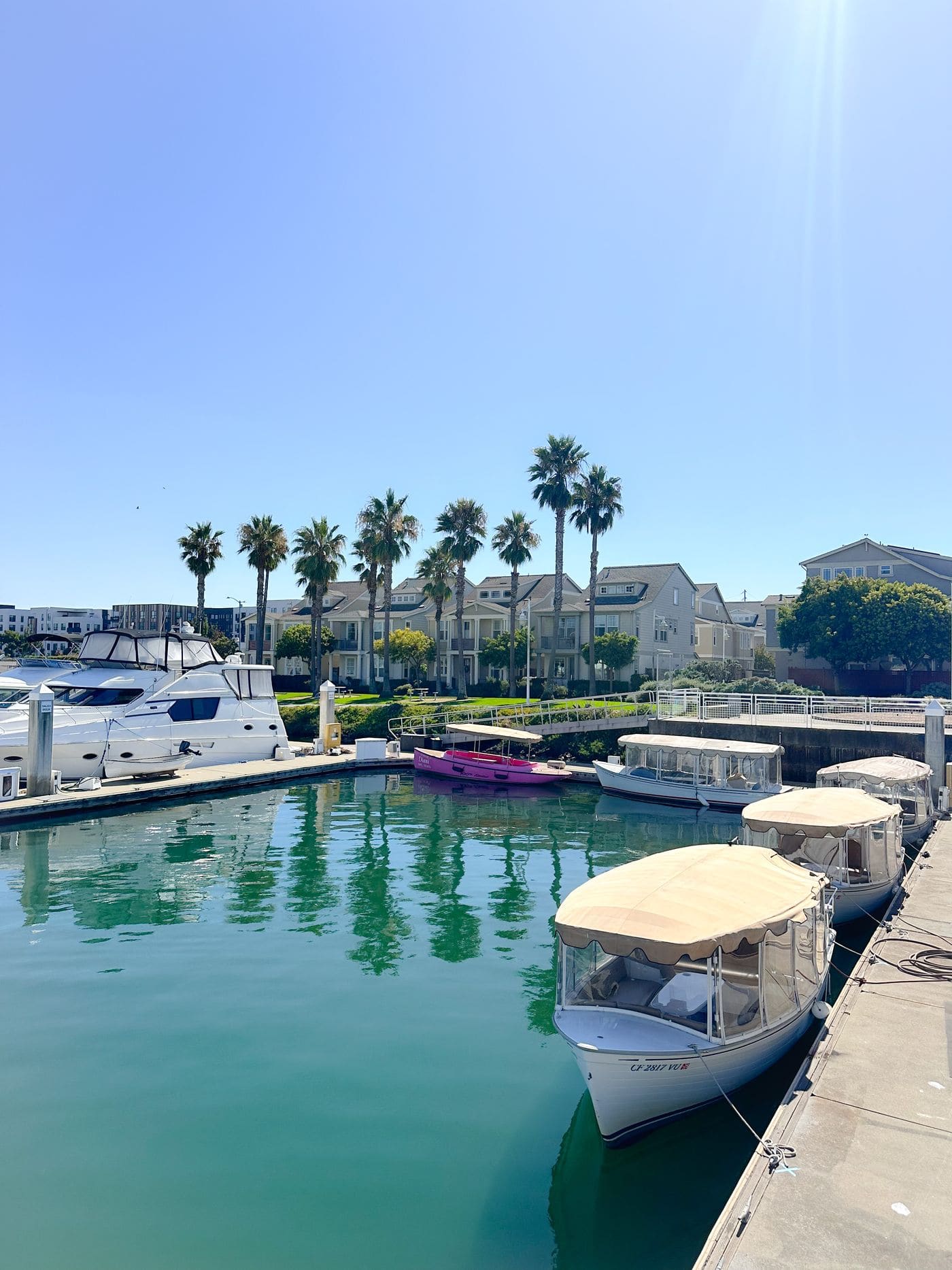 The Bae Boats dock at Grand Marina in Alameda on a sunny afternoon