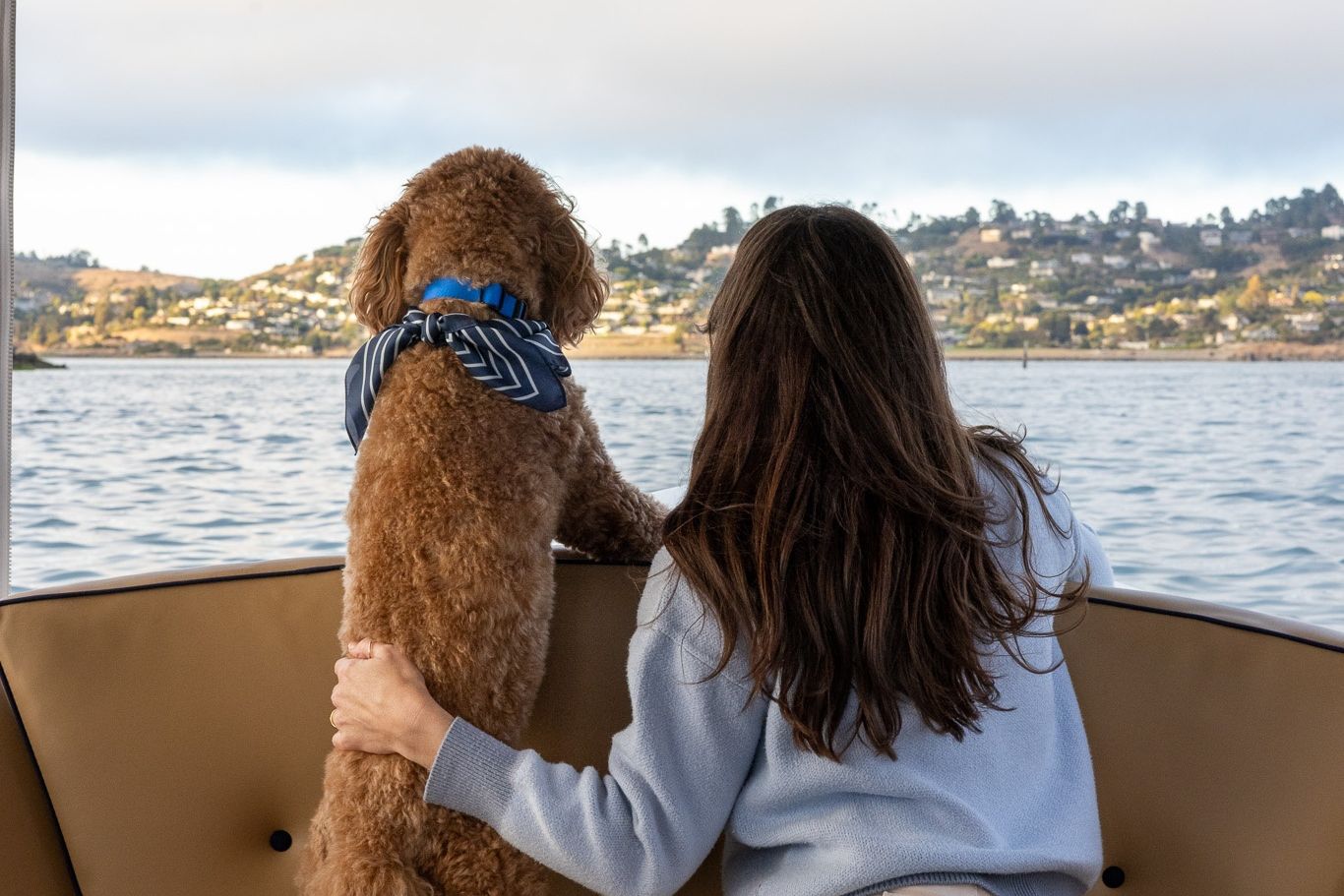 A golden doodle on the deck of a Bae Boats electric boat in Alameda