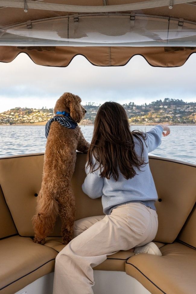 A dog aboard a Bae Boats electric boat on a Pup Package rental